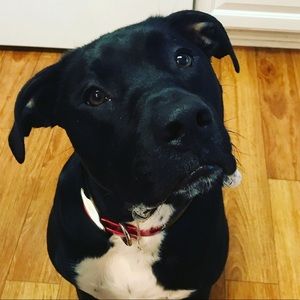 Meet your Posher, Gretchen